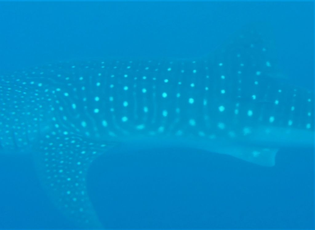 d92d915e-7789-4fef-bf99-210e3ead8d47