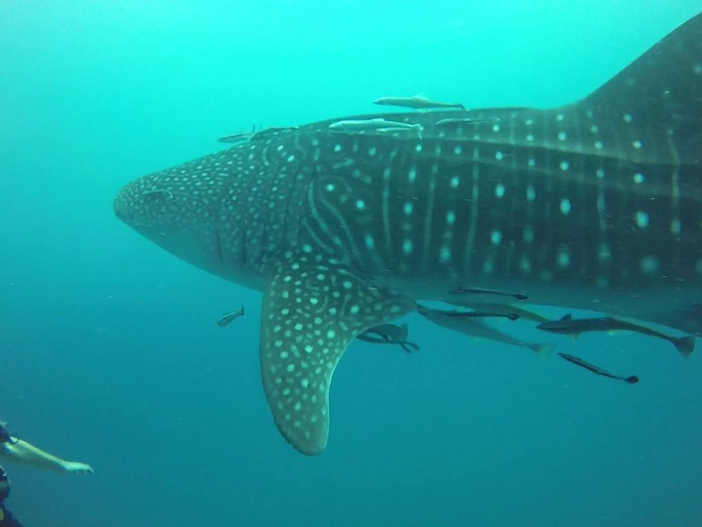 94a4a348-6c48-4d10-a025-ece7be4f3428