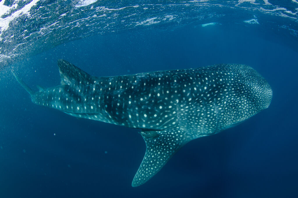 e13e3f89-1c0f-4586-99f7-aaf190359b66