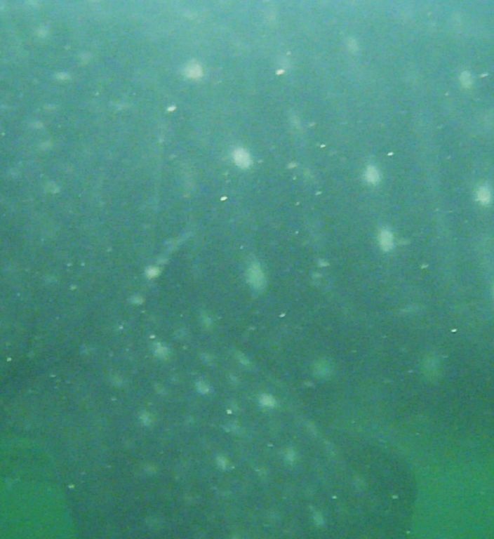 69bf55ed-d7e7-4e11-97b0-524abe904457