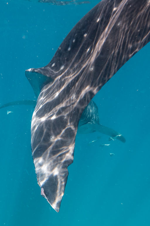 ce895e95-1d67-4978-9ed6-6c8c8db483f9