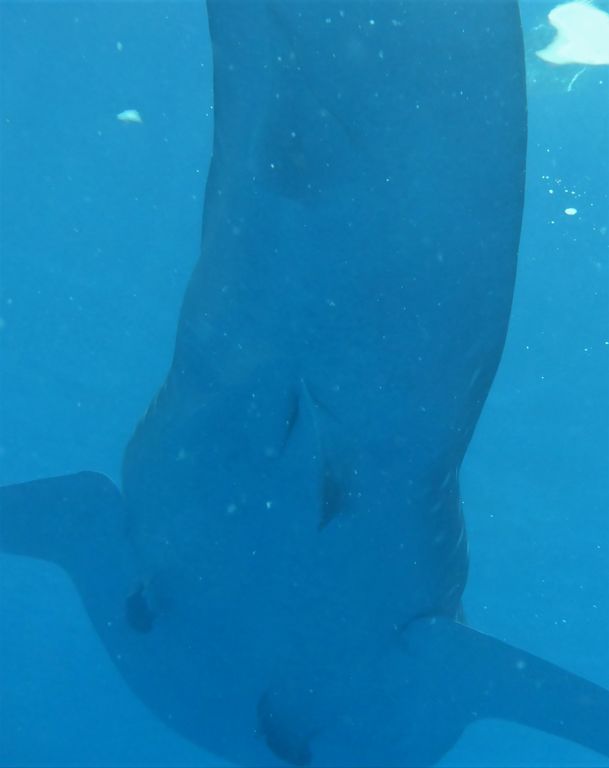 5a6601e0-5ea4-45ab-bfd7-561f9f8a1b8a