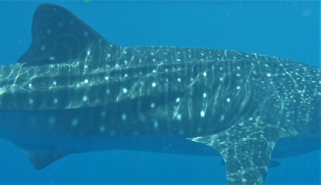 5a6601e0-5ea4-45ab-bfd7-561f9f8a1b8a