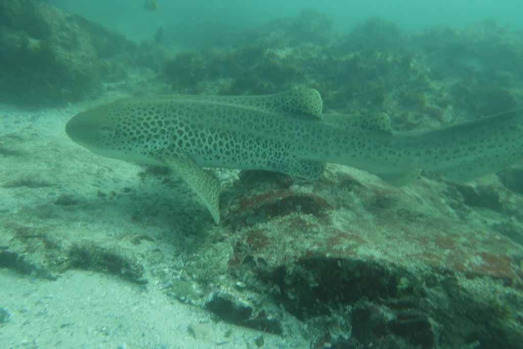 b59a32f6-1091-4849-b0c2-c59a1a420614