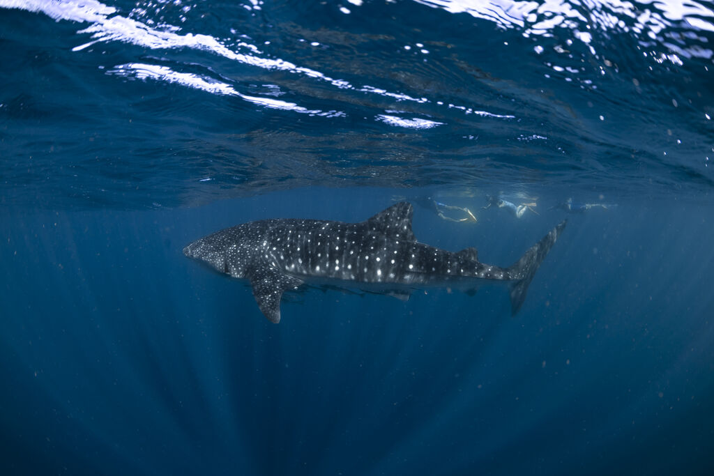 33b153cd-d5bc-4a6c-97a4-021bc8c2da9f