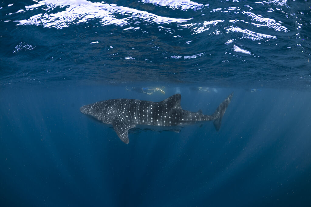 33b153cd-d5bc-4a6c-97a4-021bc8c2da9f