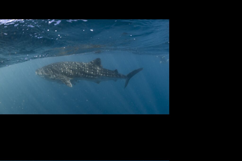 47b428d6-d3c2-46d6-8ecd-7603521be394