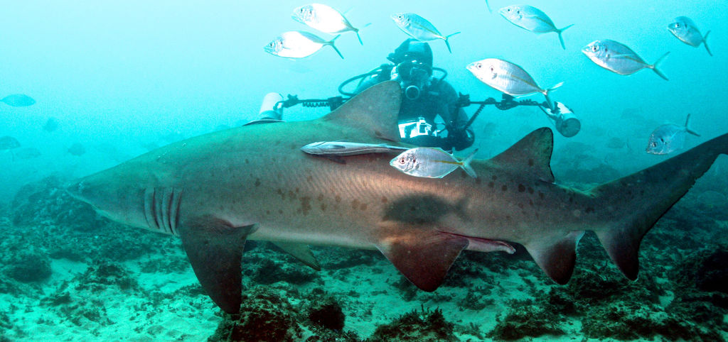 8be2dde4-f86a-45c3-83f3-ffd0e9c18e0d