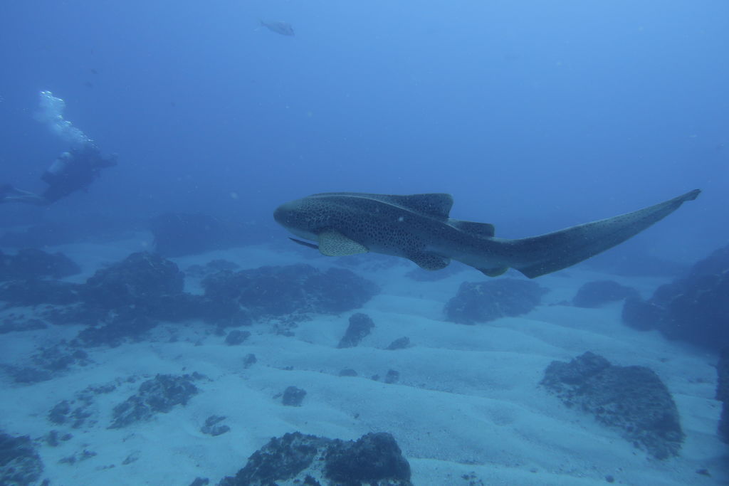 688d1982-4077-4e9d-989a-085b79bcb1e7