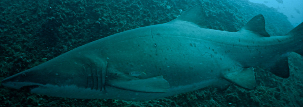 ad75732c-1e81-4757-b9eb-a1ebe93ac8b9