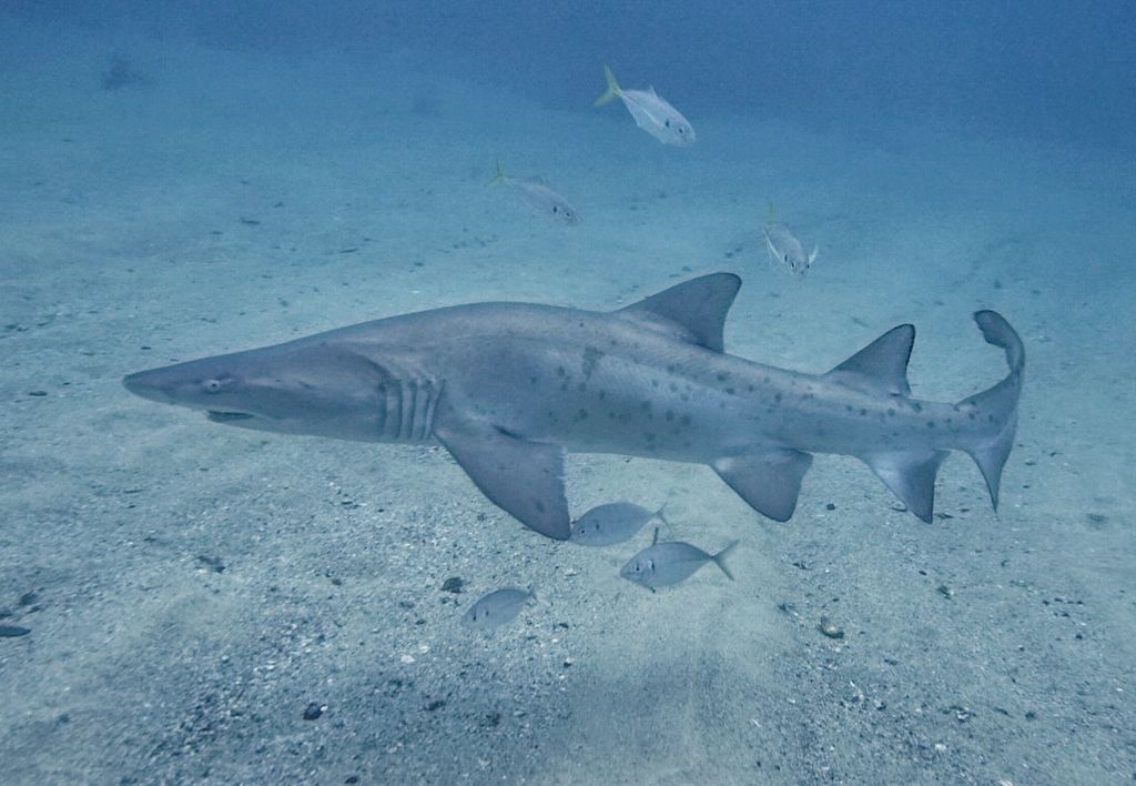 9a1f3331-557c-4f72-84dc-ec776e125b15