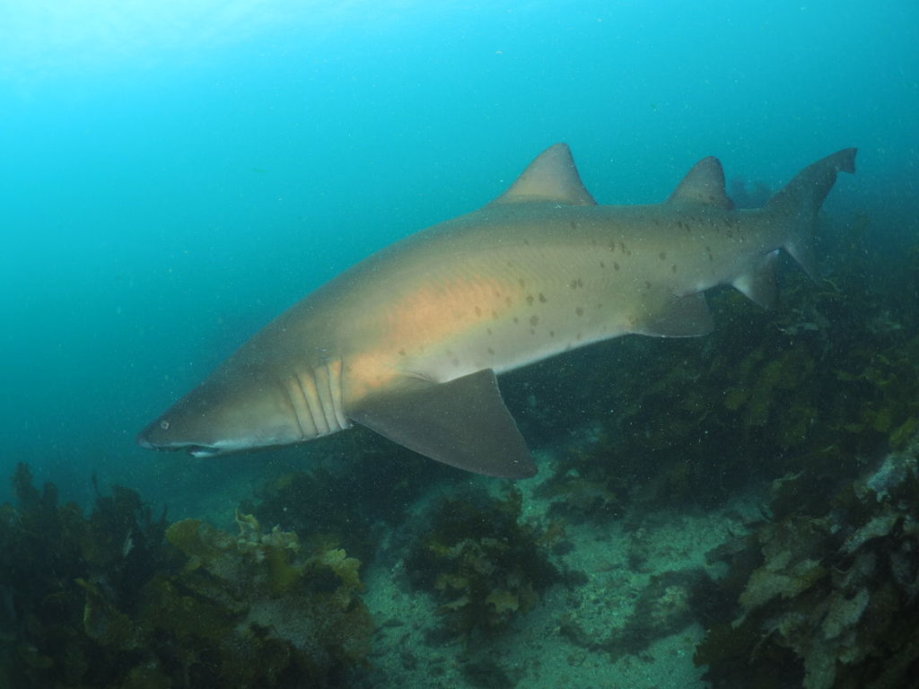 e2cfbfd1-ad2c-4cad-bd6f-710e1b7fd156