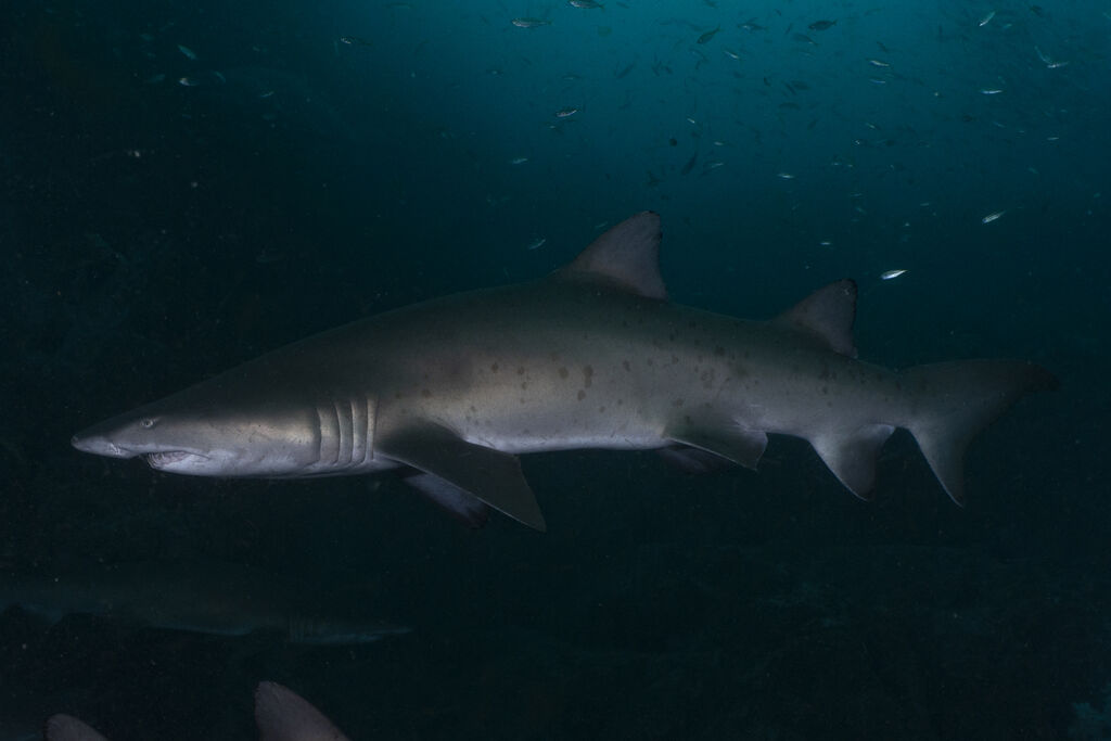 36074ac6-f211-4530-9221-7e520108641c