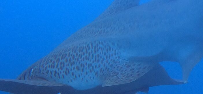 6d5ac39d-6179-4ebf-8fdb-00f763793a2f