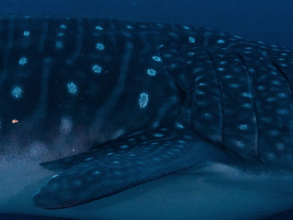 4230c9ef-37f9-43df-a555-ab37dbeb970f