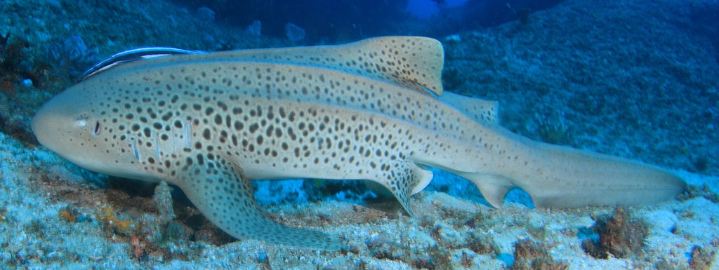 f31d39e6-76b0-4629-90fe-e298725bc01e