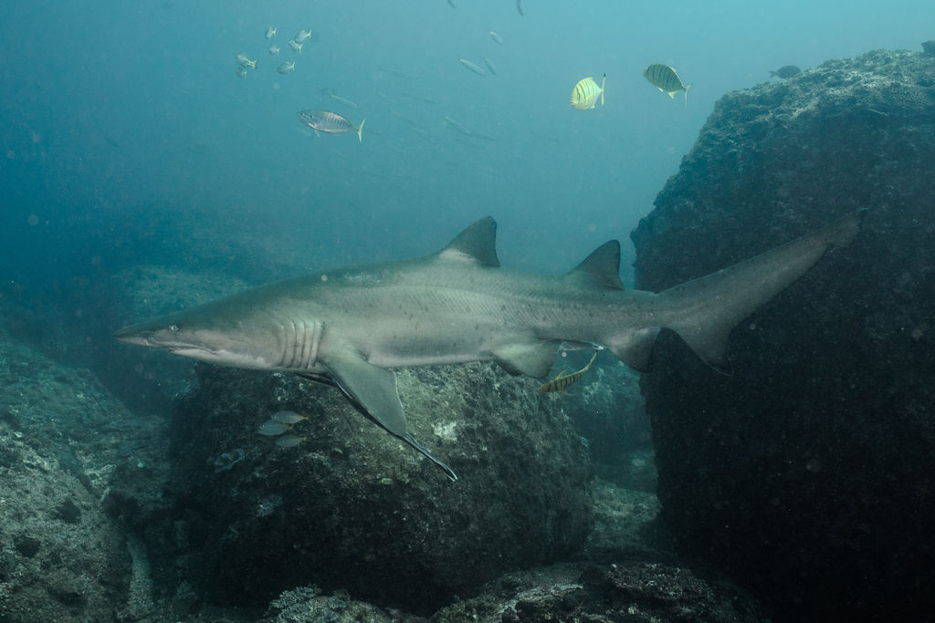 b388f88d-c351-4717-bbf7-83e0667d3b0e