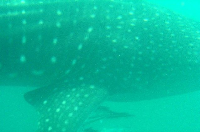 7769e955-38df-4e09-854b-307017323fd3