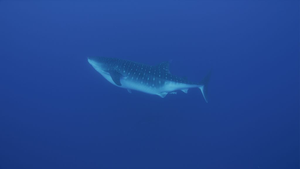 506c3180-9d88-490a-a29f-c83e00876821