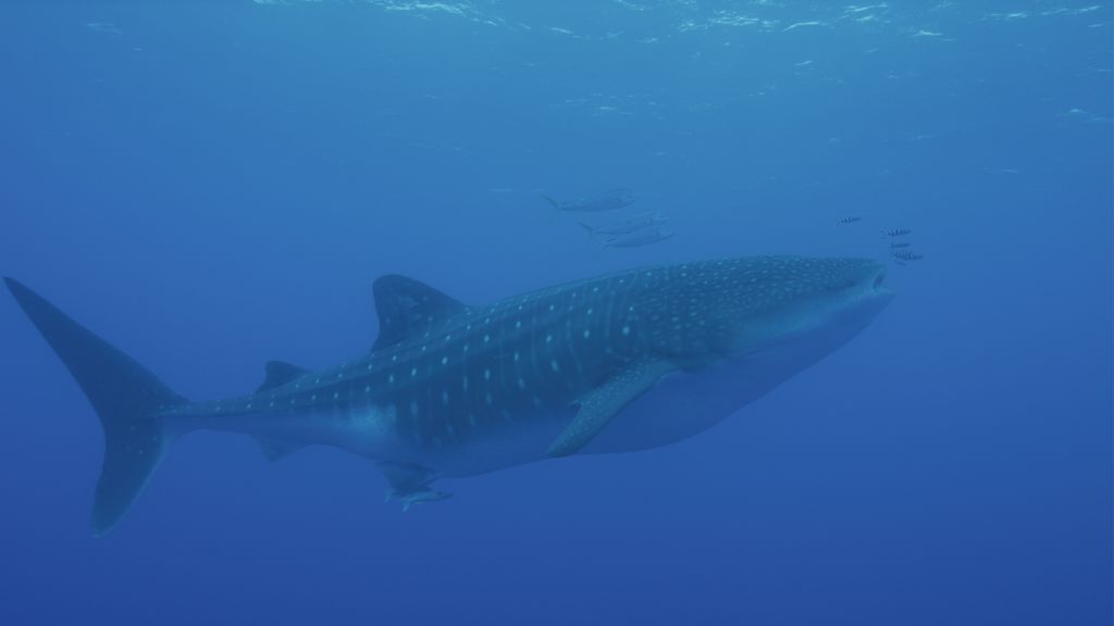 506c3180-9d88-490a-a29f-c83e00876821