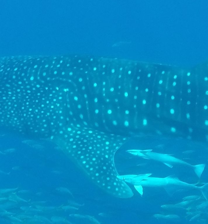 03f16796-9028-40ca-a1a4-215b381b5bdf