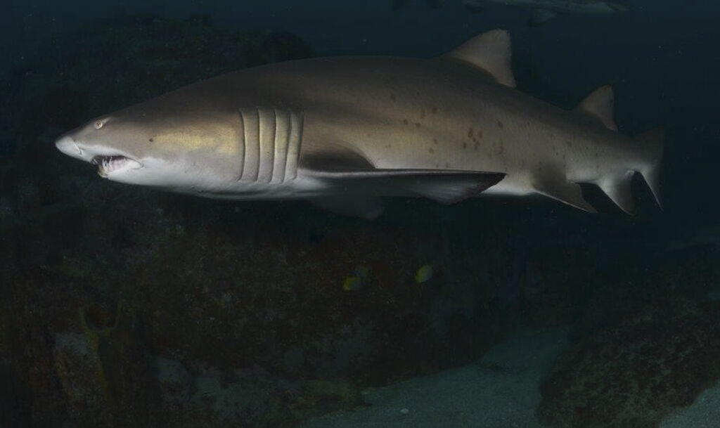 6703b134-162f-4545-95e3-087dab62a75b