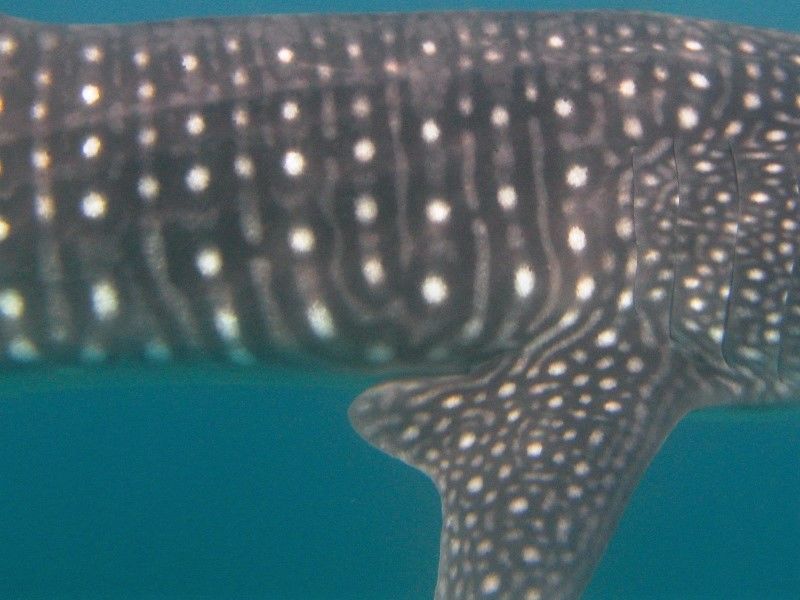 8861bf7c-8b06-4ac4-84a5-4960f18c19ca