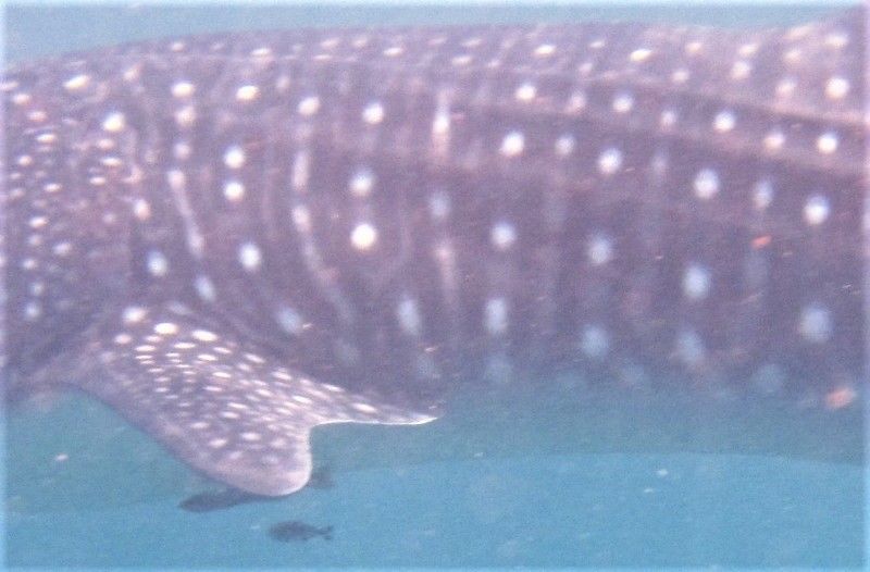 8861bf7c-8b06-4ac4-84a5-4960f18c19ca