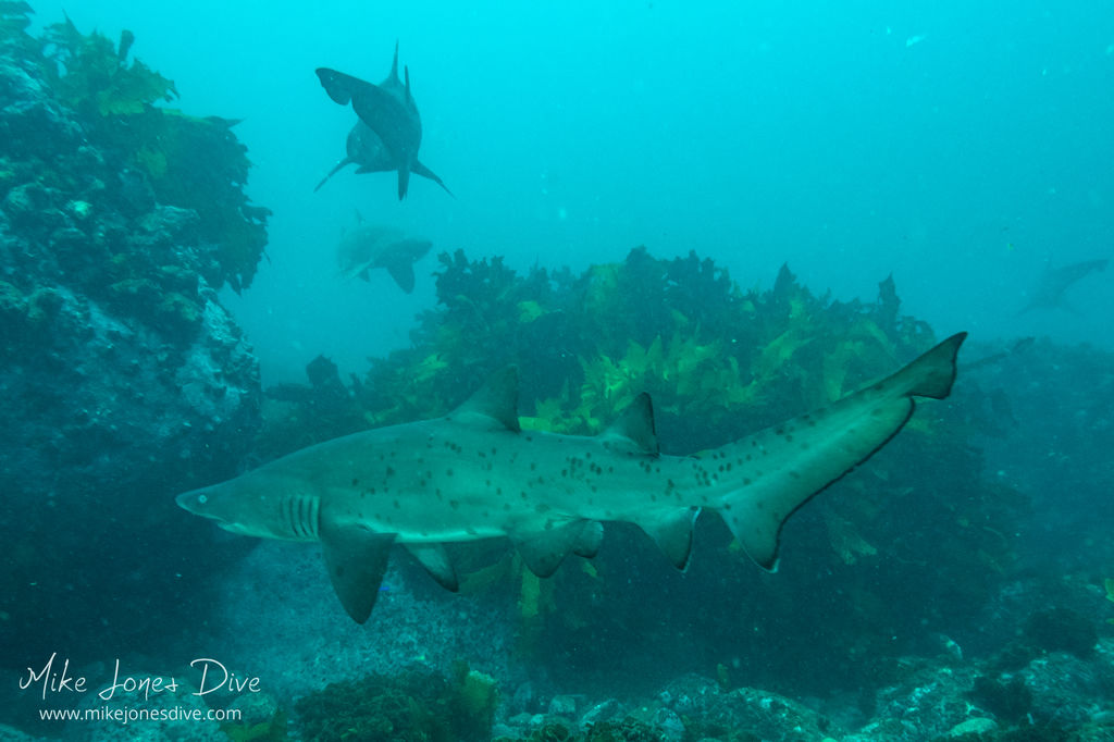 9105ff11-e6c5-426b-8553-a77039e0d4f1