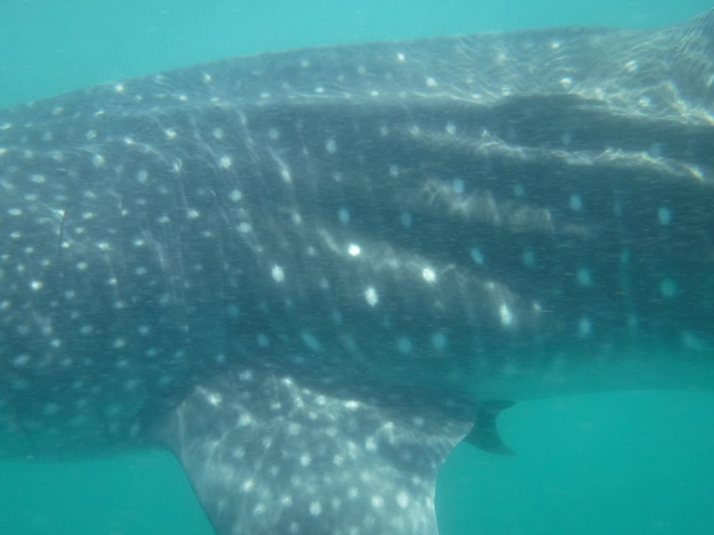 9ac6119a-c253-4a25-ac8e-aba77be6aa62