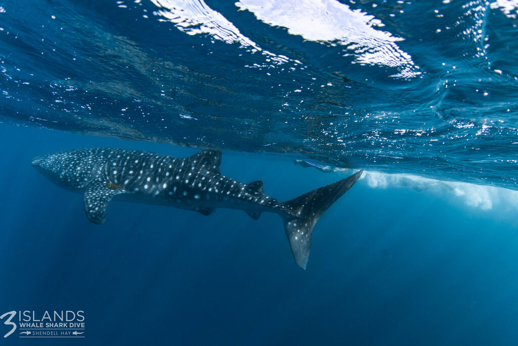 45a5c368-869e-4bcb-b39c-af2582b33640