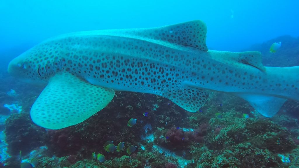 ca0b3b29-7ad1-40b7-ab90-28097e99080e