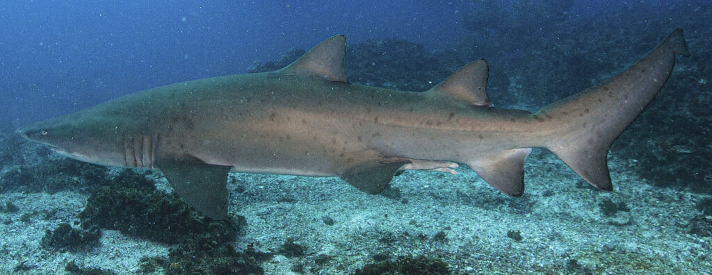 0847b9b2-1328-4a54-bf5f-a5c4ecbedc66