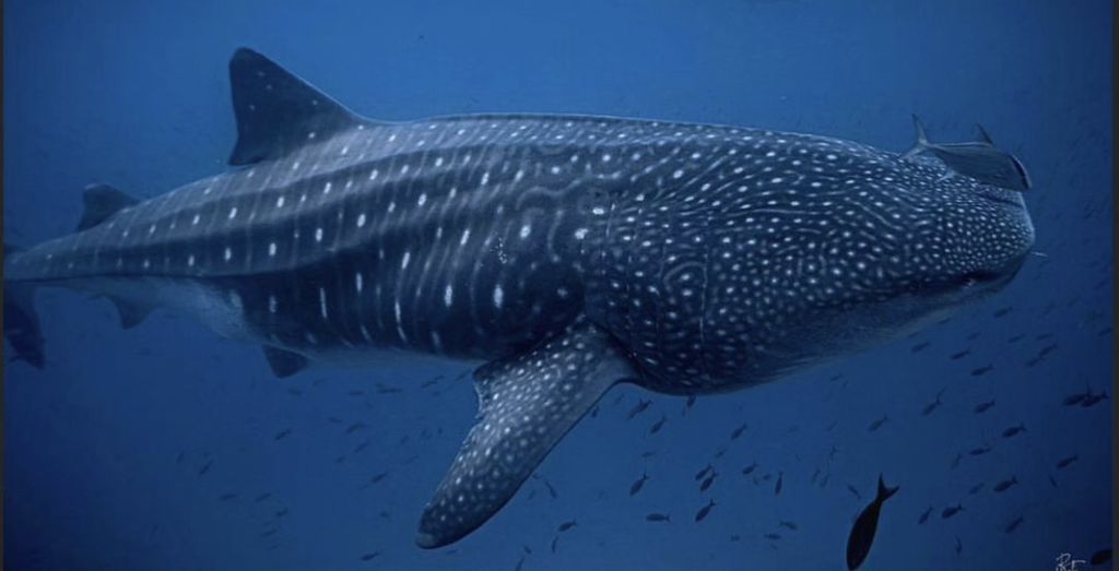 c63003fc-c8f3-4439-ade0-0d269fc2246a