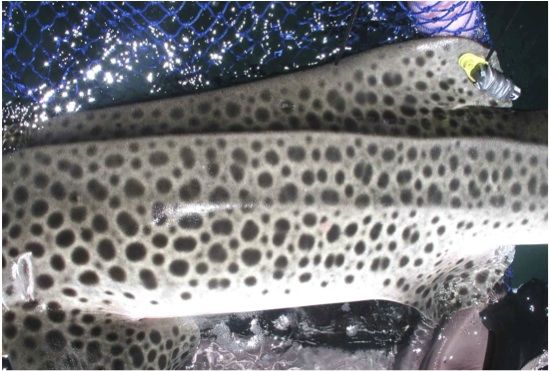 7f4f5875-02c3-4233-ad74-bfe4206cf889