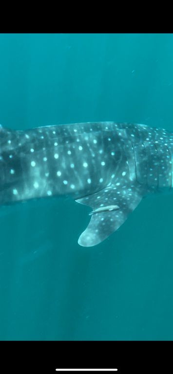 254de3b6-b588-4059-83e8-911dfb540c0b