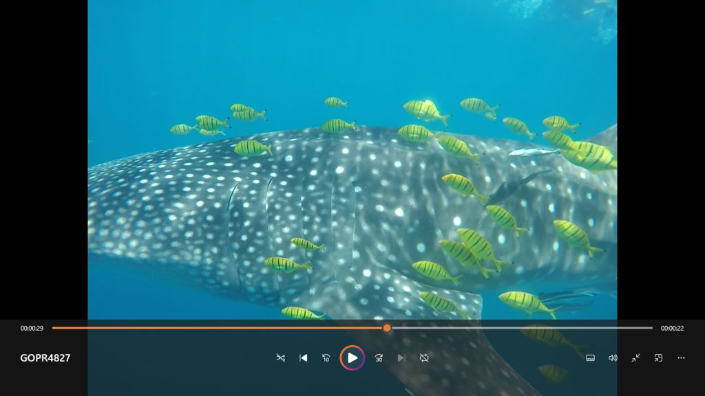 63e9fa01-0366-4bef-8be6-3dad59ab06bf