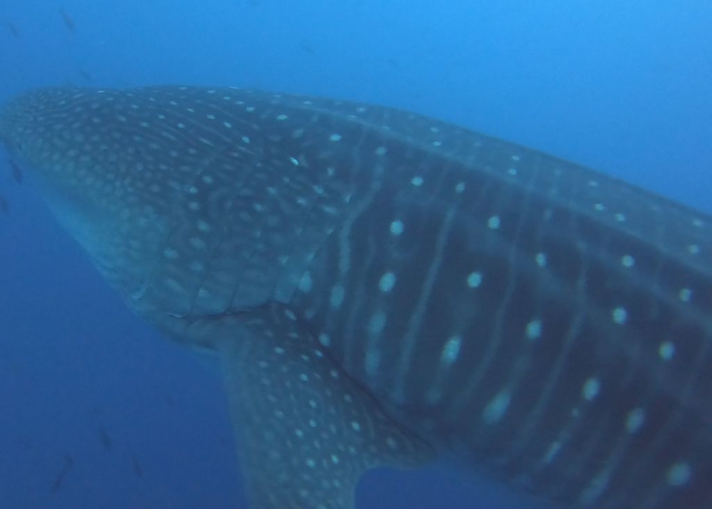 95a5ad30-47a5-41f0-83de-aebc7b75bbbd