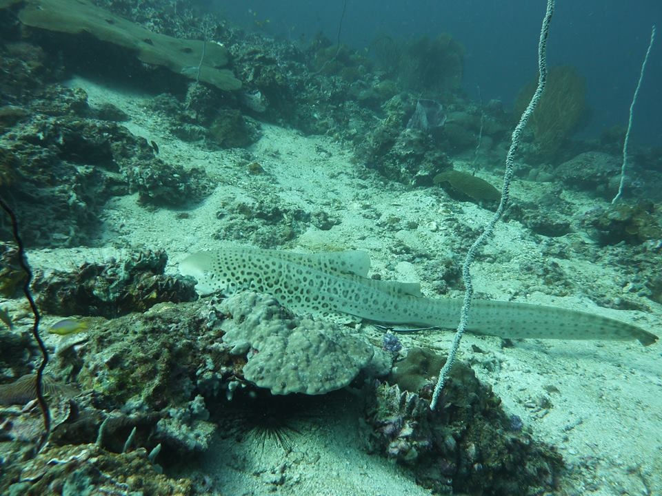 89497ccf-3de9-49f3-bee3-e1ef87927f56