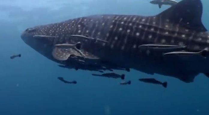 812ed952-805e-44a7-aa10-822129b739d6