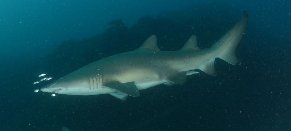 a6fd3b55-e970-4641-8c50-3d8d1c63d886