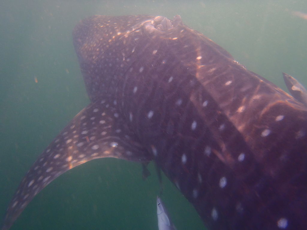 3a6738bc-7fee-48fd-8799-e085ab5bd830