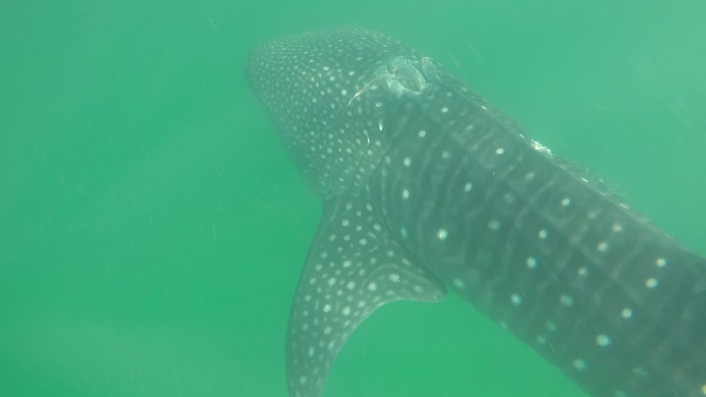 3a6738bc-7fee-48fd-8799-e085ab5bd830