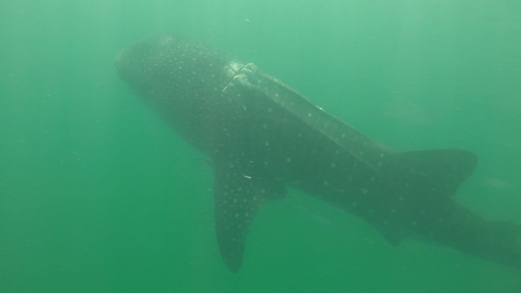 3a6738bc-7fee-48fd-8799-e085ab5bd830