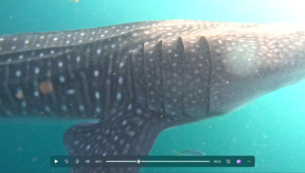 b58b0c4f-9cac-4369-b382-b7d9df0662e9