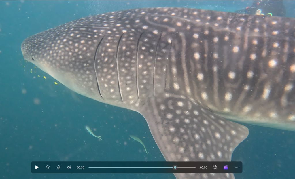 b58b0c4f-9cac-4369-b382-b7d9df0662e9