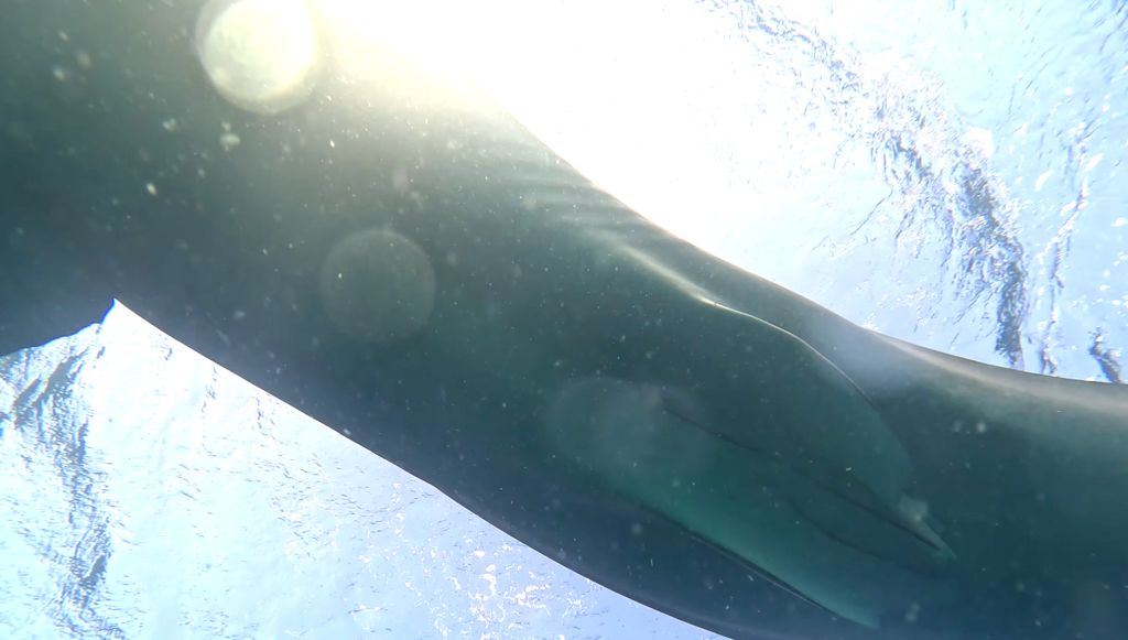 b58b0c4f-9cac-4369-b382-b7d9df0662e9