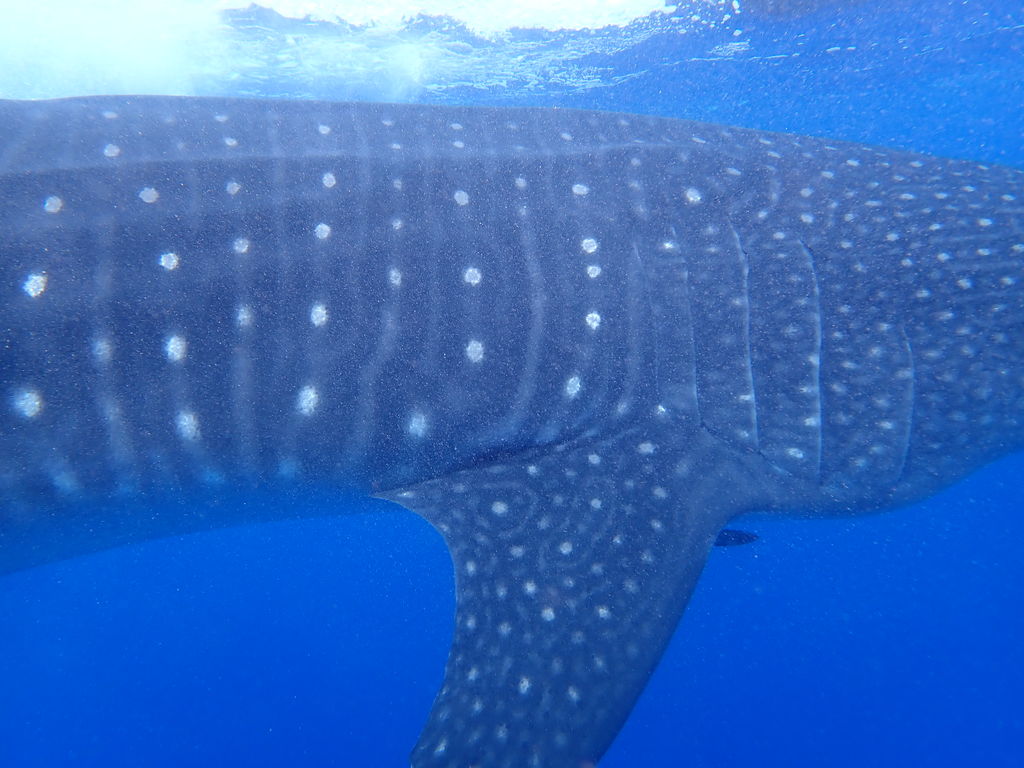 79bb4749-cf38-41f8-8e6e-5406c0878da6