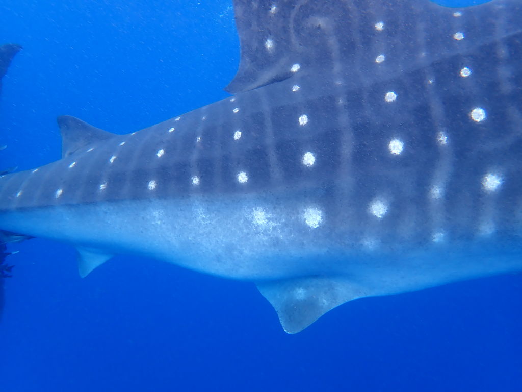 79bb4749-cf38-41f8-8e6e-5406c0878da6