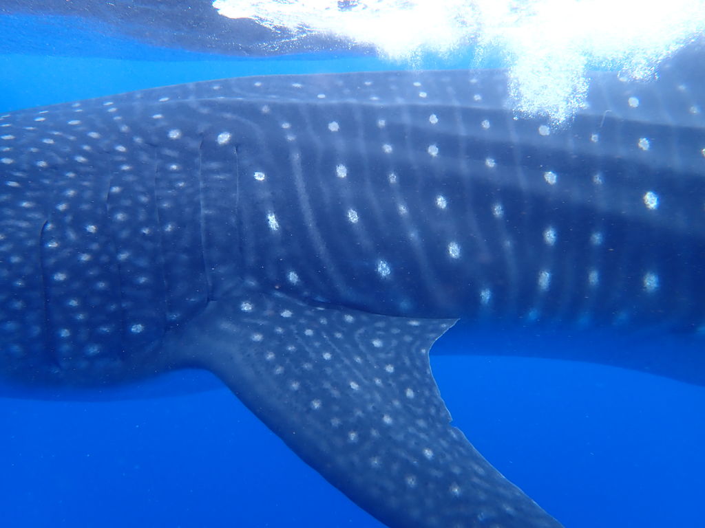 79bb4749-cf38-41f8-8e6e-5406c0878da6